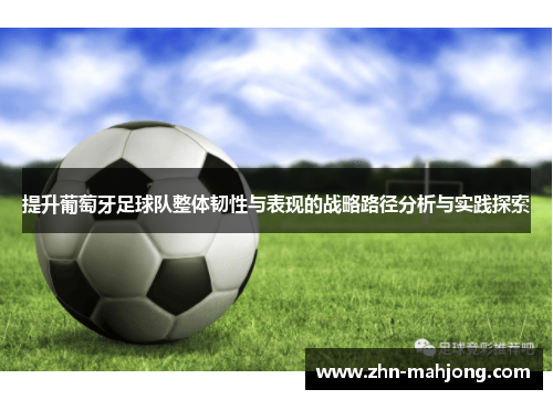 提升葡萄牙足球队整体韧性与表现的战略路径分析与实践探索 提升葡萄牙足球队整体韧性与表现的战略路径分析与实践探索