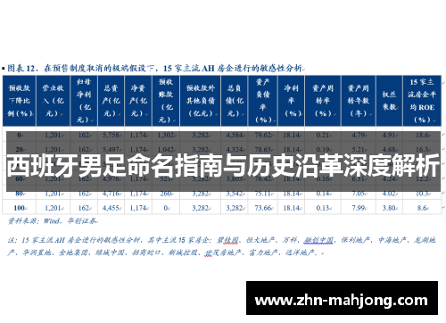西班牙男足命名指南与历史沿革深度解析