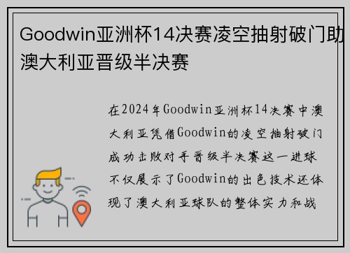 Goodwin亚洲杯14决赛凌空抽射破门助澳大利亚晋级半决赛 Goodwin亚洲杯14决赛凌空抽射破门助澳大利亚晋级半决赛